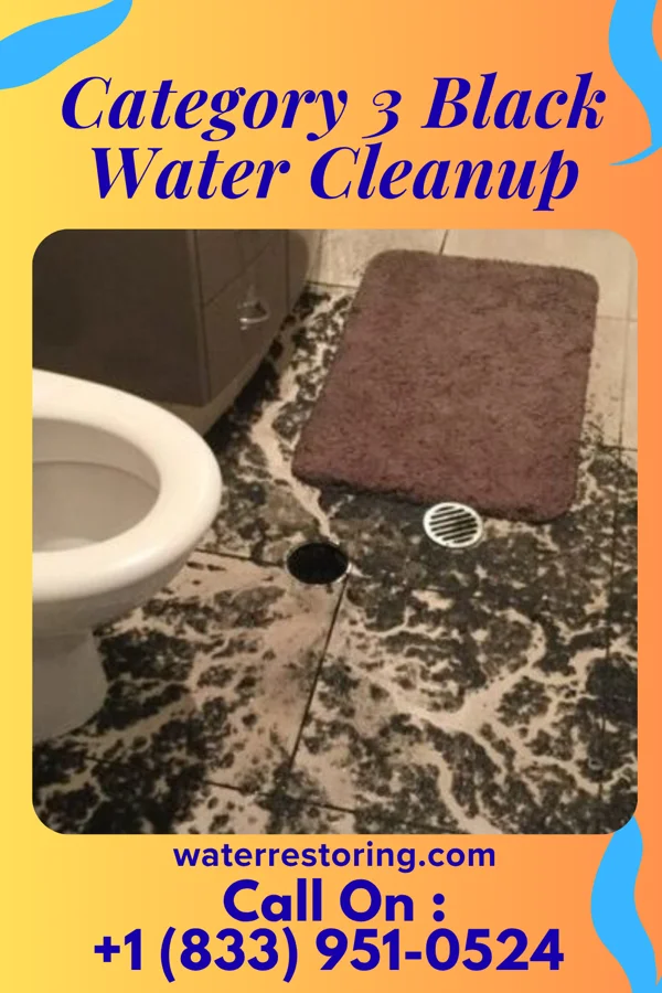 Category 3 Black Water Cleanup in Rudd, IA