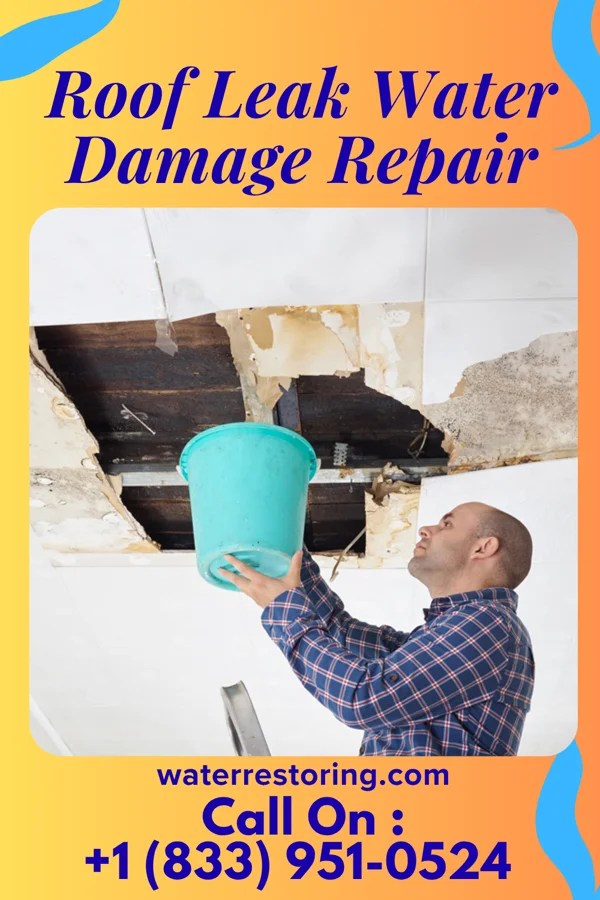 Roof Leak Water Damage Repair in Rudd, IA